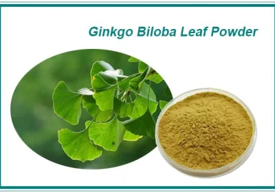 ginkgo-biloba-leaf-extract-powder17373054324-1