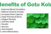 Gotu Kola Powder 0782290431