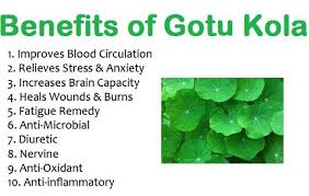 Gotu Kola Powder 0782290431